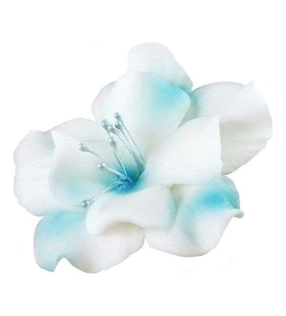 Magnolia 04 White / Blue 9.5 cm (8)
