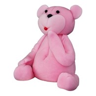 Teddy Bear Pink ZW-M