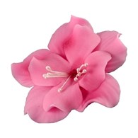 Magnolia 04 Dark Pink 9.5 cm (8)