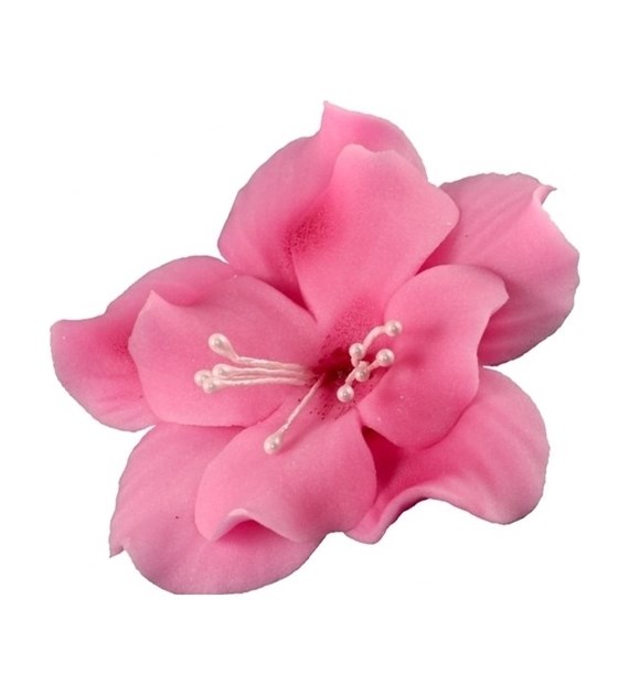 Magnolia 04 Dark Pink 9.5 cm (8)