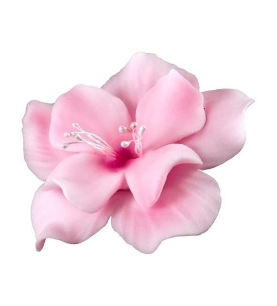 Magnolia 04 Pink 9.5 cm (8)