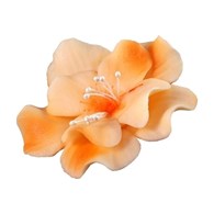 Magnolia 04 Orange 9.5 cm (8)
