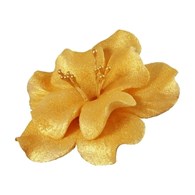 Magnolia 04 Golden 9.5 cm (8)