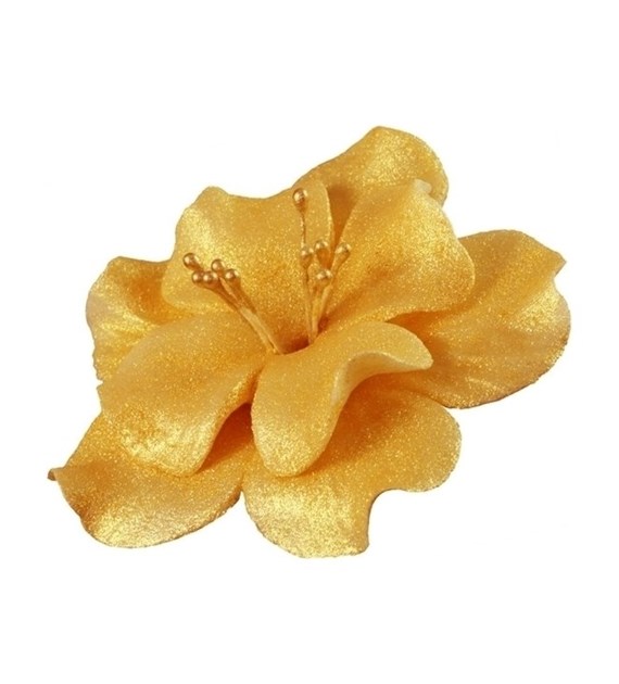 Magnolia 04 Golden 9.5 cm (8)