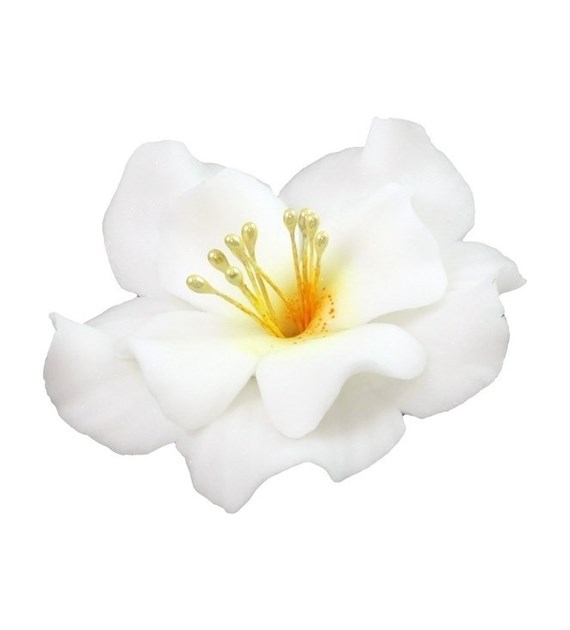 Magnolia 04 White 9.5 cm (8)