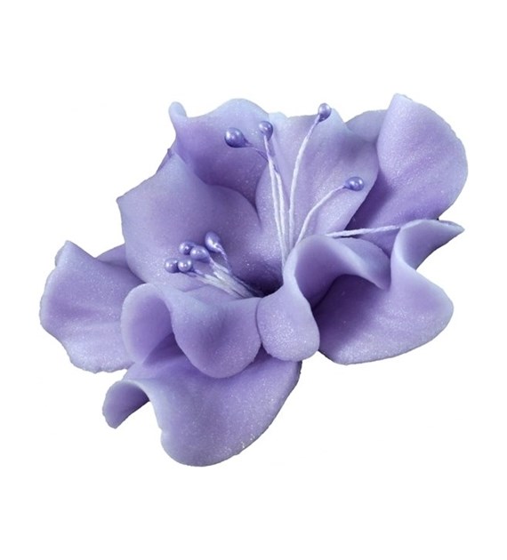 Magnolia 04 Purple 9.5 cm (8)