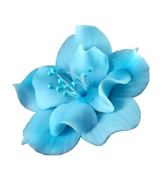 Magnolia 04 Blue 9.5 cm (8)