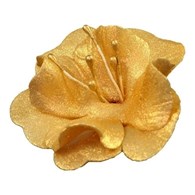 Magnolia 04m Golden 5.5 cm (10)