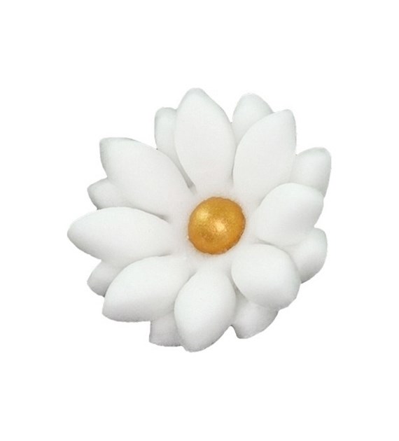 Marigold 035 White 2.5cm (20)