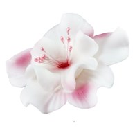 Magnolia 04 White / Pink 9.5 cm (8)