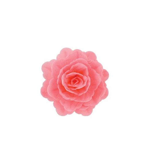 Wafer Rose Chinese Pink (15)