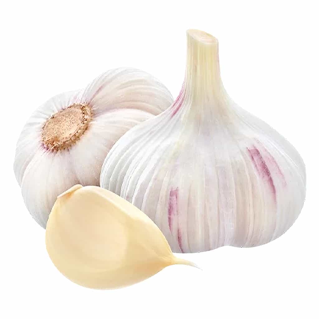 Garlic Granules 25 kg