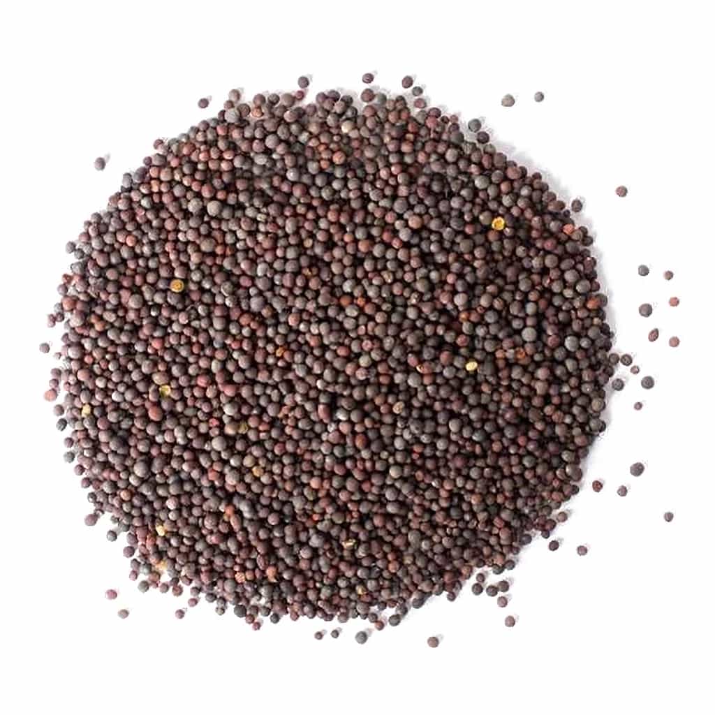 Mustard Seeds