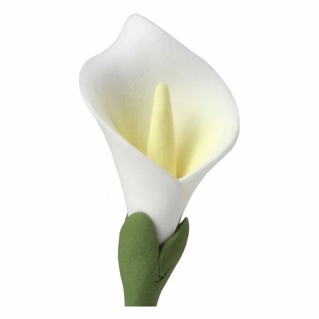 Culpitt Sugar Calla Lily 60 mm (36 pc)