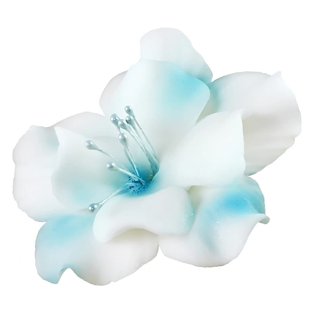 Sugar Magnolia Flowers 9.5 cm – MagMart