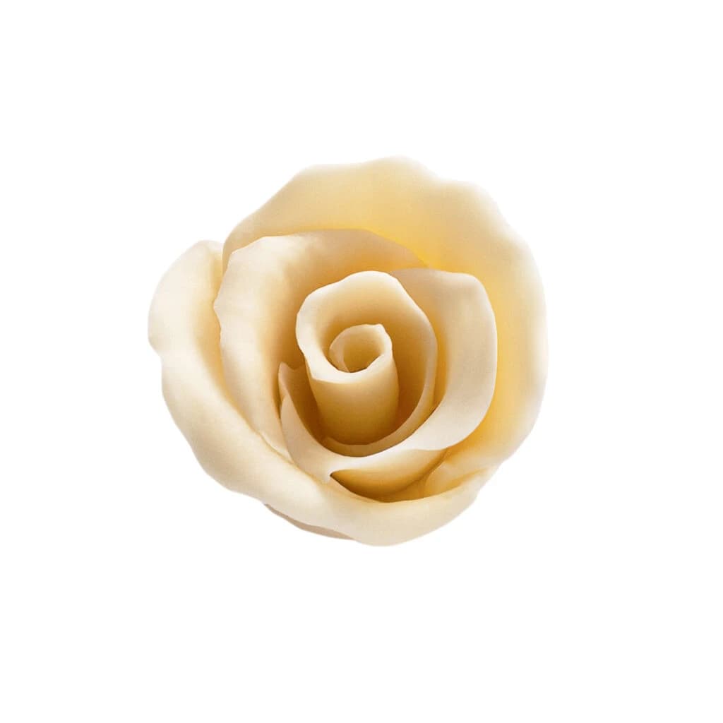Chocolate Roses 40 mm – Barbara Luijckx