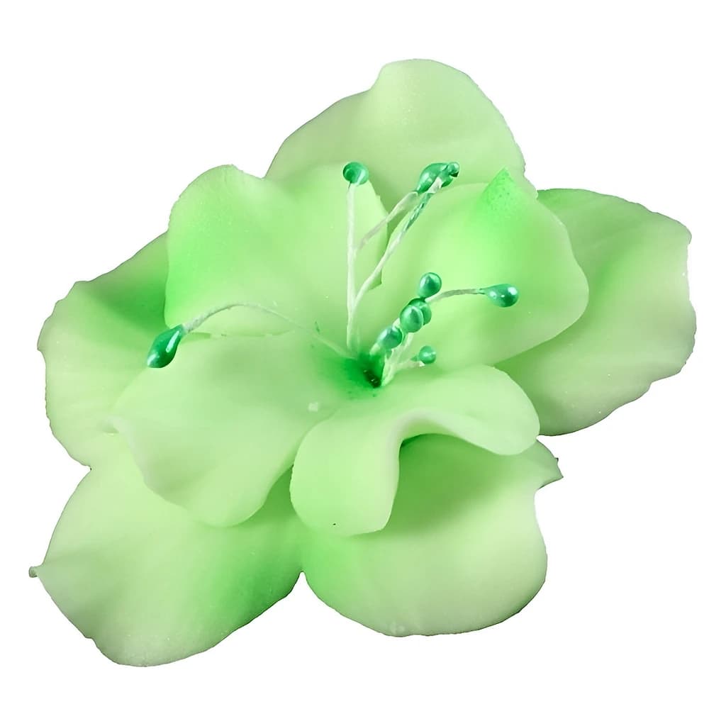 Sugar Magnolia Flowers 5.5 cm – Pack of 10