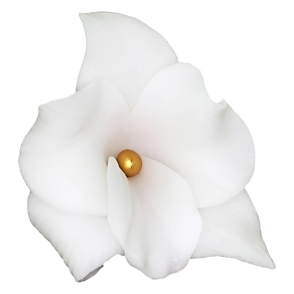 Sugar Orchid Flowers 6 cm
