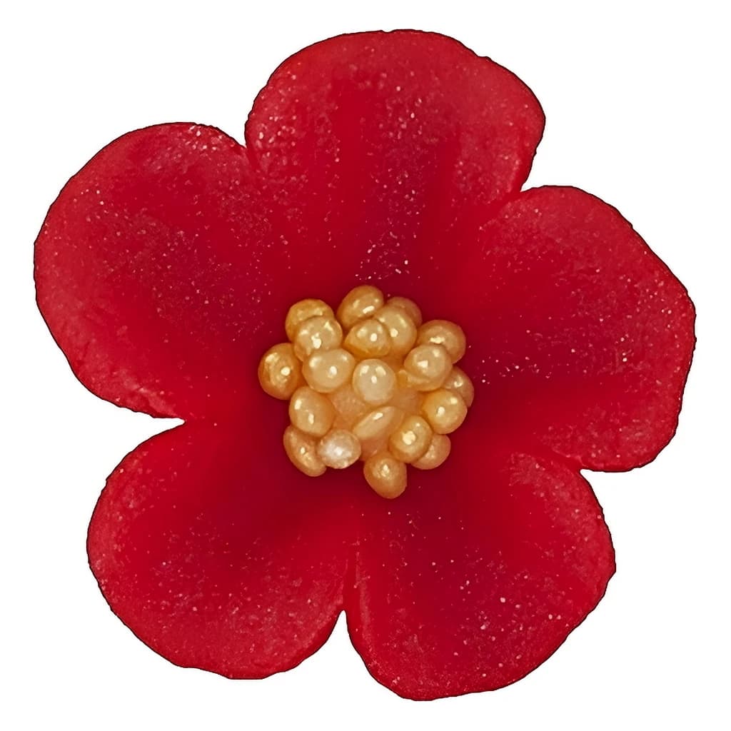 Sugar Flower 2.5 cm – Pack of 20