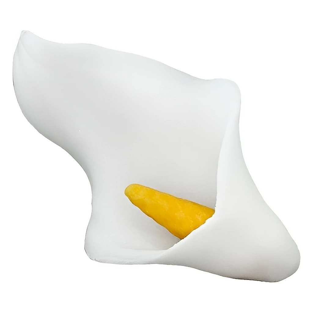 Sugar Calla Lily 6.5 cm