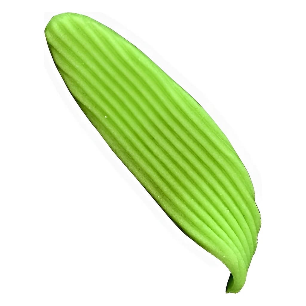 Sugar Oblong Leaves 6 cm