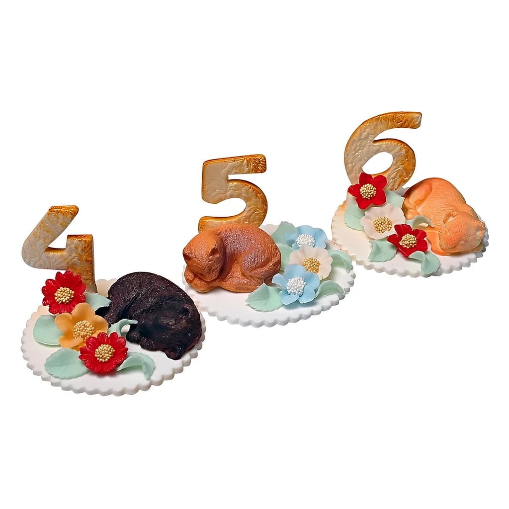 Birthday Number Cake Topper with Sleeping Animal