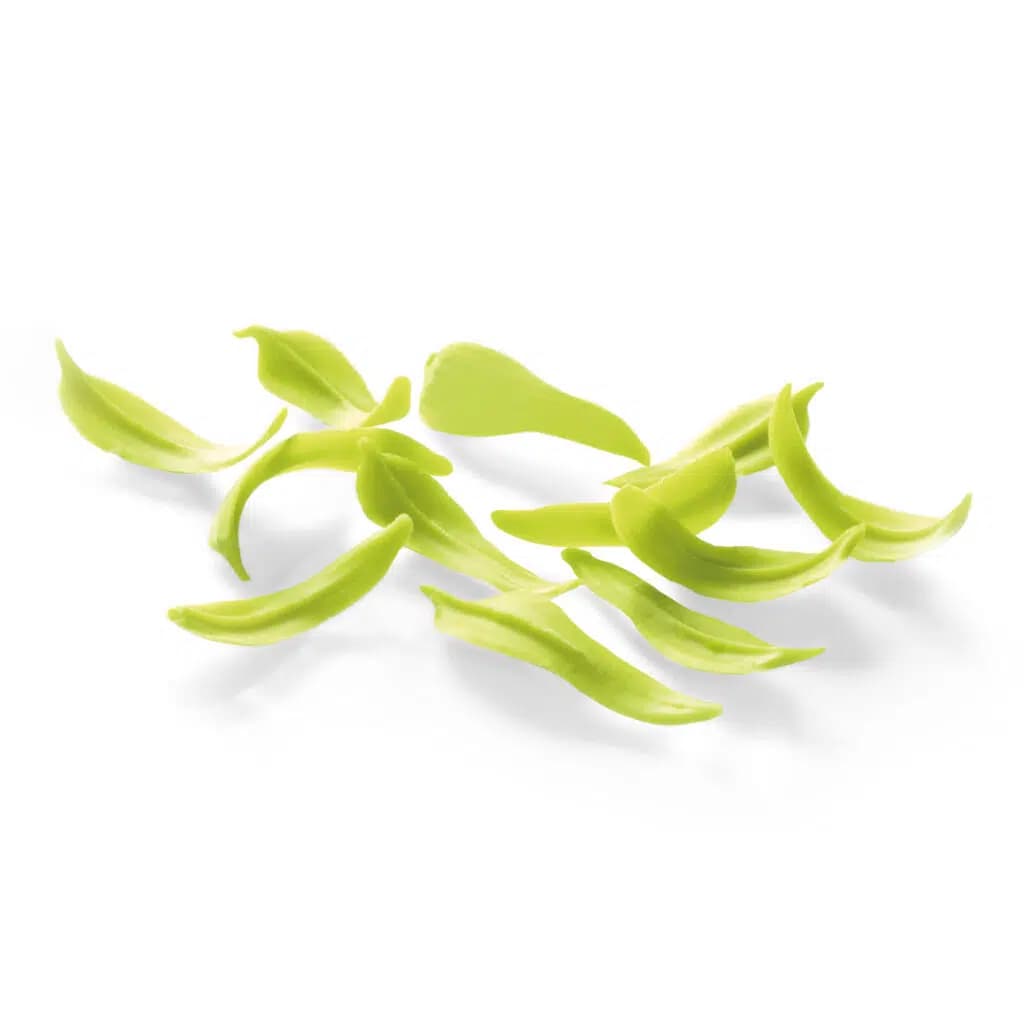 Chocolate Lime Leaves, 2.5 kg