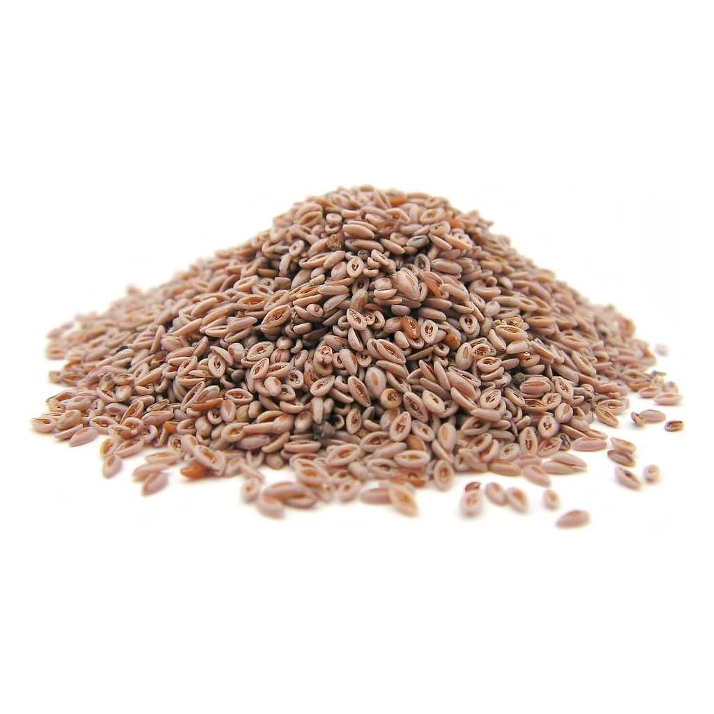 Whole Psyllium Seeds 25 kg