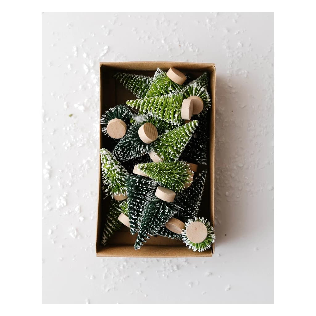Plain Green Tree 2" (50 pc)