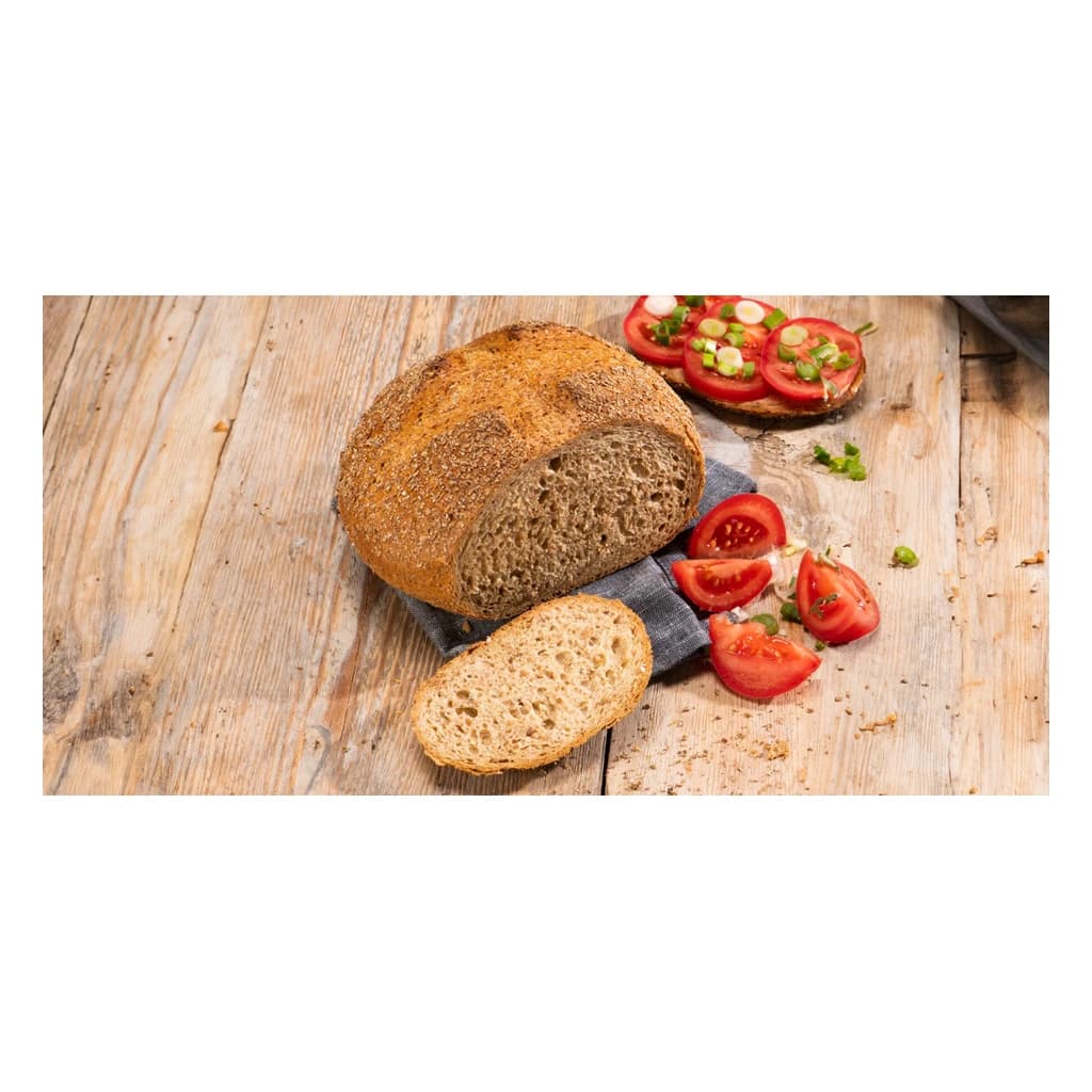 Zeelandia Bioferm Dark Liquid Sourdough 19 kg