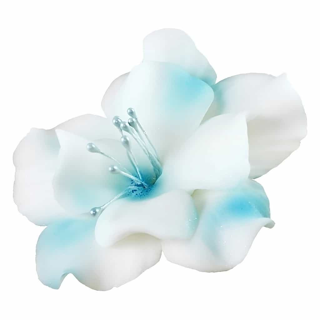 Sugar Magnolia Flowers 9.5 cm – MagMart