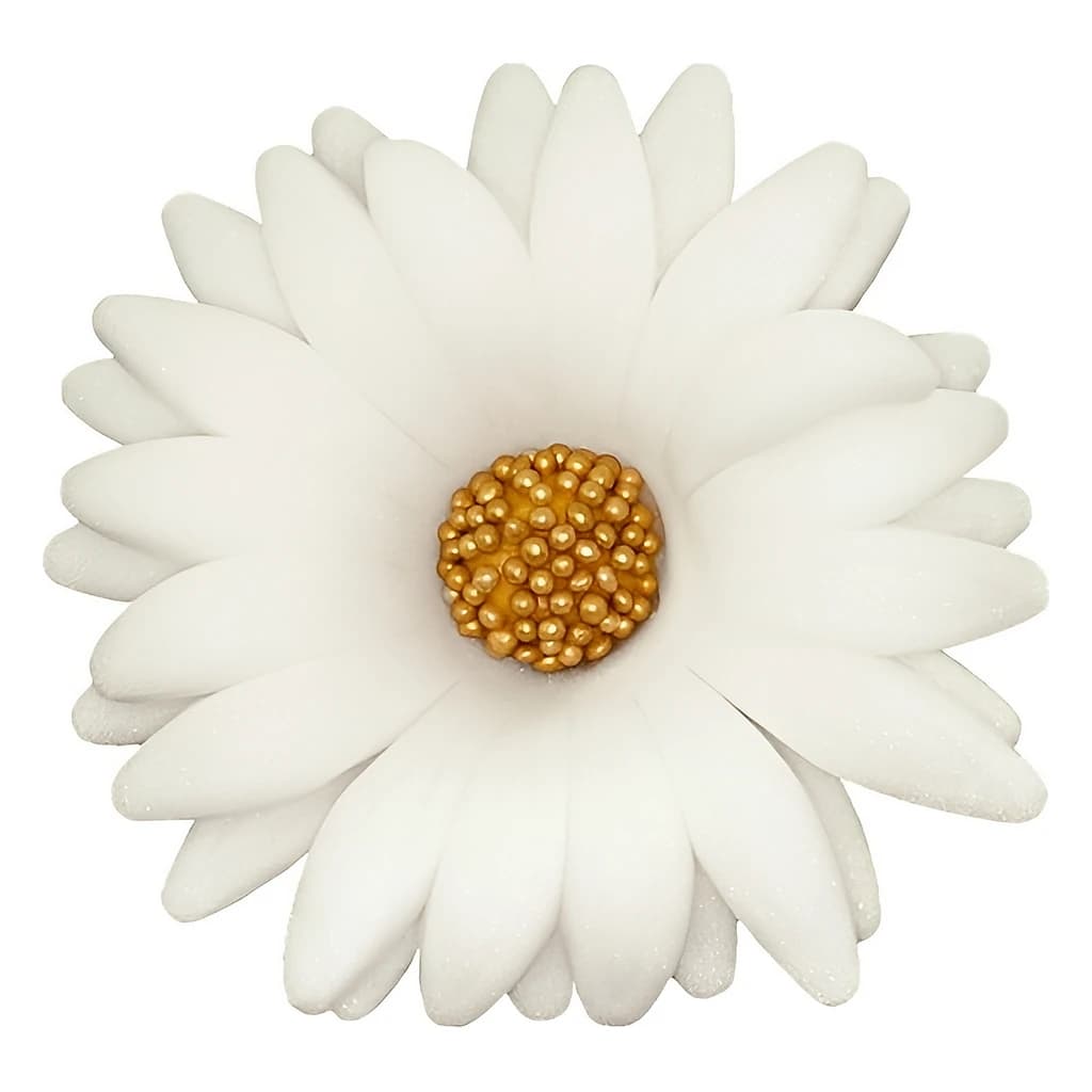 Sugar Daisy Double 6.5 cm
