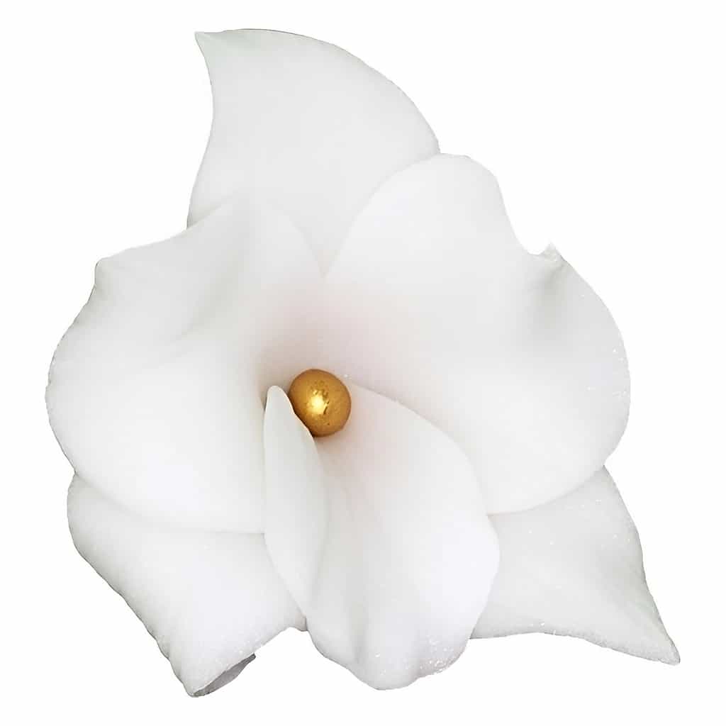 Sugar Orchid Flowers 6 cm