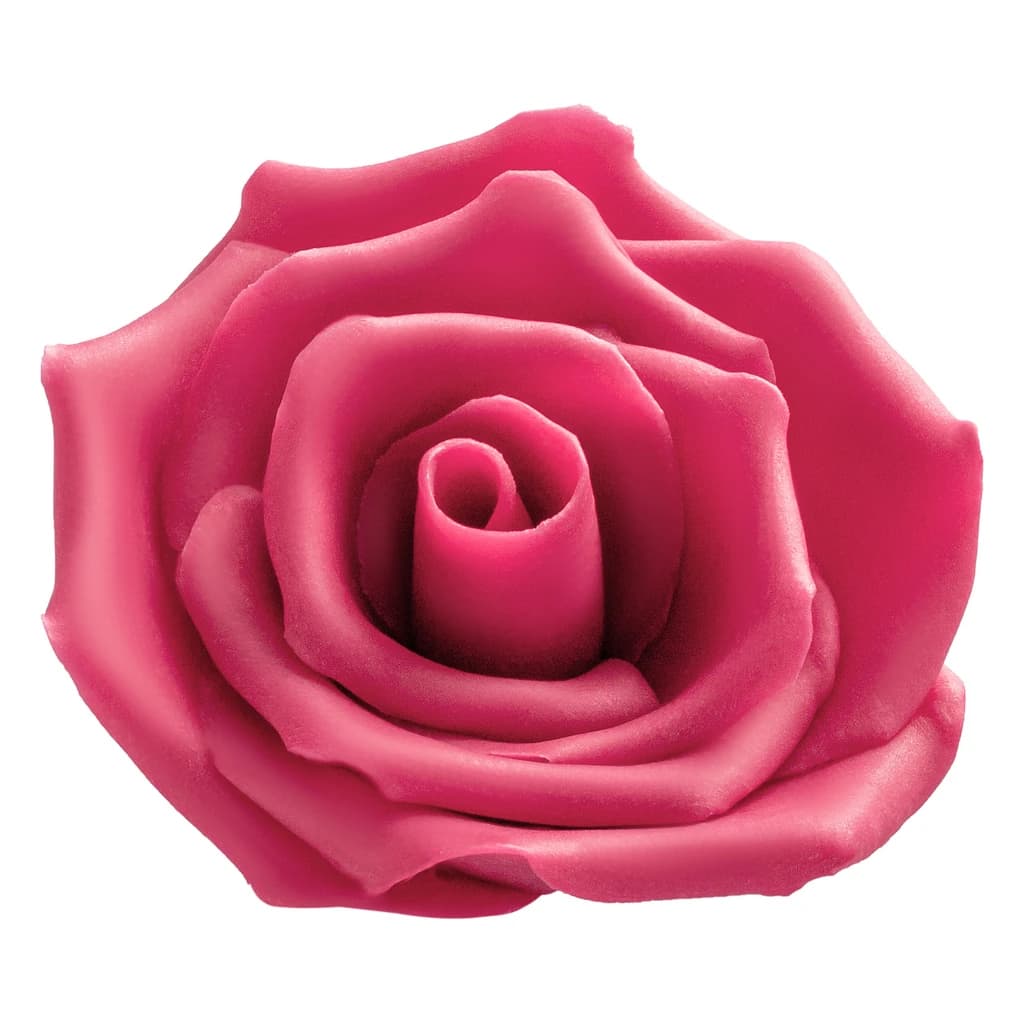 Chocolate Rose Pink Maxi 65 mm (14 pc)