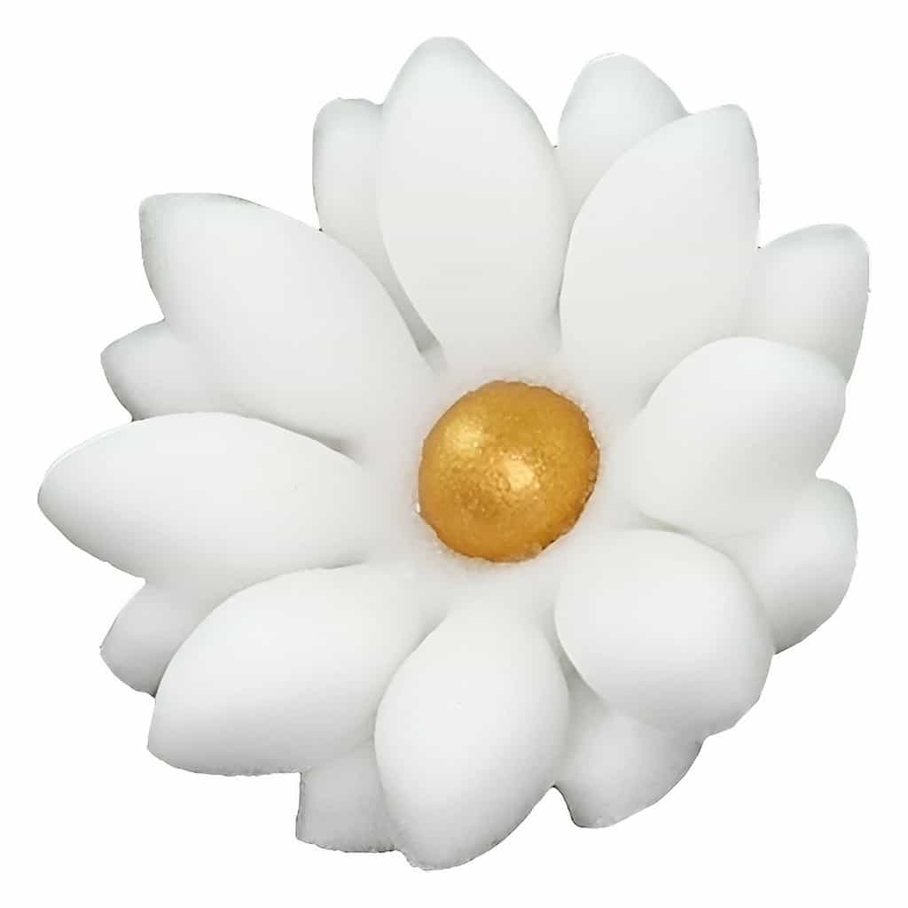 Sugar Marigold Flowers 2.5 cm (Pack of 20)