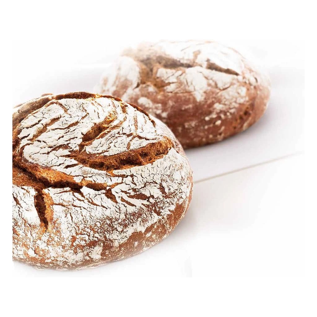 Bas Turbo 500 Sourdough Concentrate 12 kg