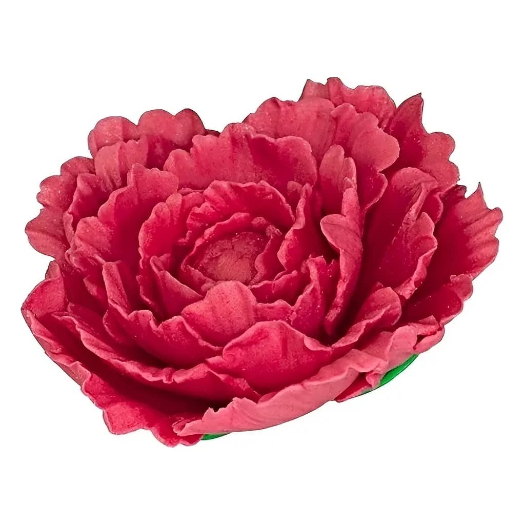 Sugar Peony – Amaranth, Size 05 (Pack of 3)