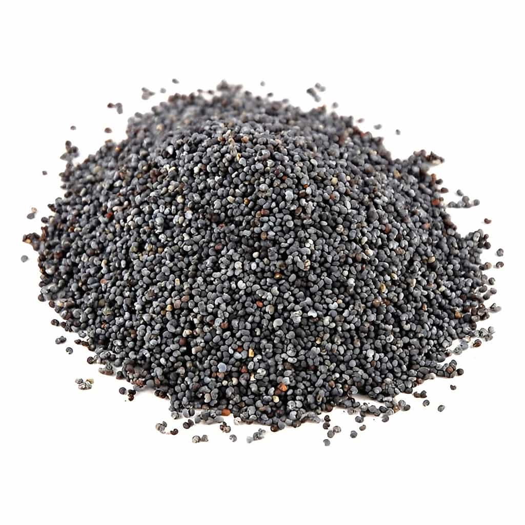 Blue Poppy Seeds 25 kg