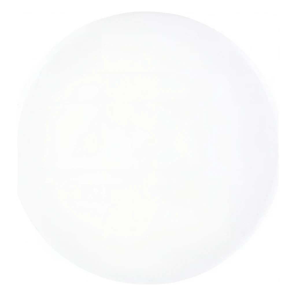 Round Cake Dummy