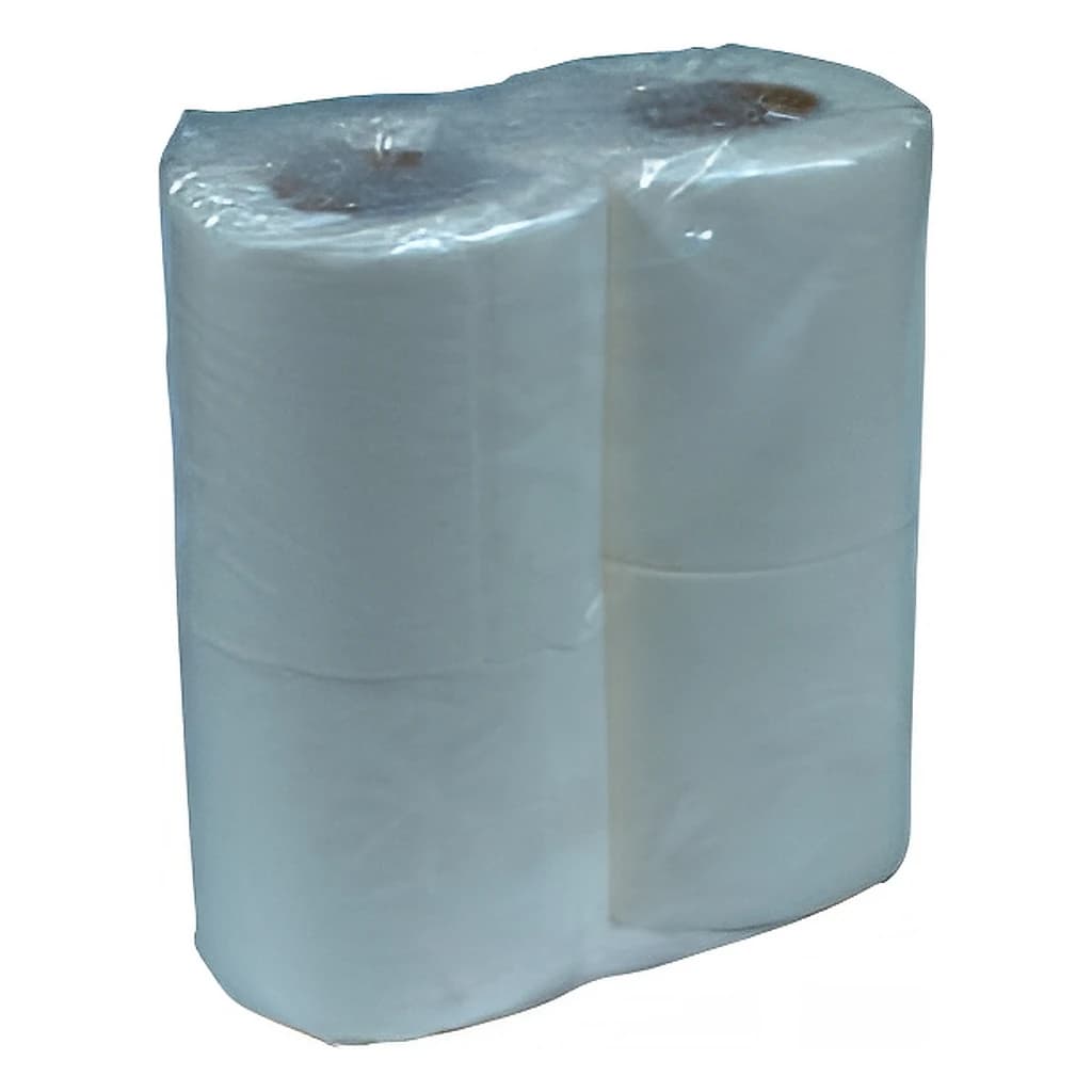 Toilet Roll 2-Ply 100 × 125 mm – Pack of 36