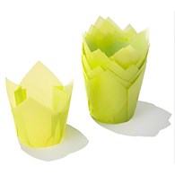 Tulip Muffin Case green TV5T03 72x50 mm (120 pc)