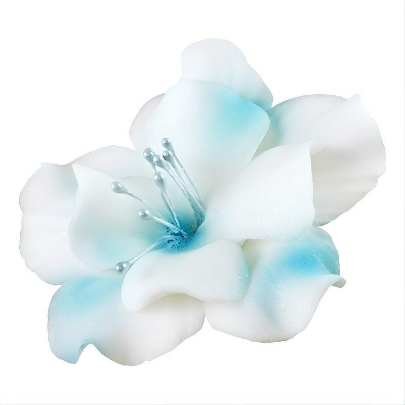 Magnolia 04 White / Blue 9.5 cm (8)