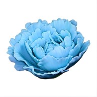 Peony 05 Blue 10 cm