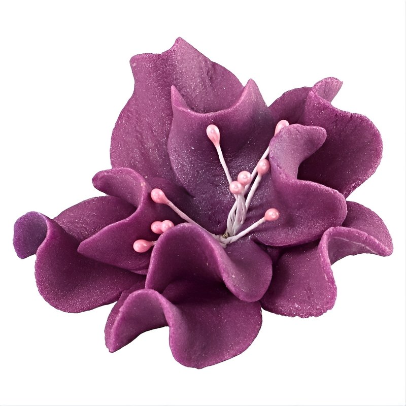 Magnolia 04 Fuchsia 9.5 cm (8)