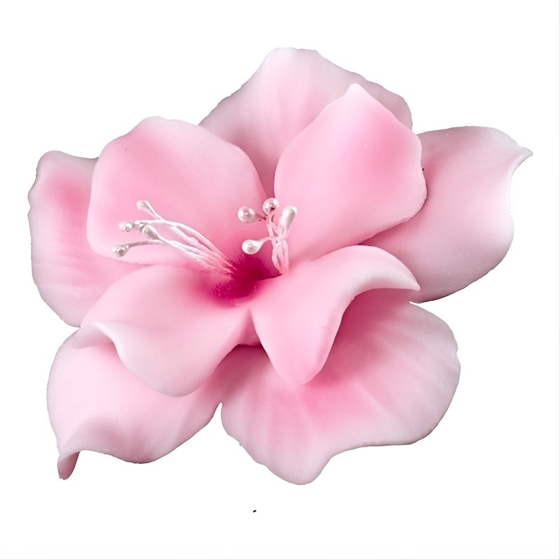 Magnolia 04m Pink 5.5 cm 10 pc