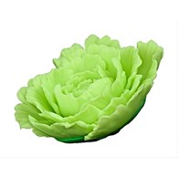 Peony 05 Lime 10 cm