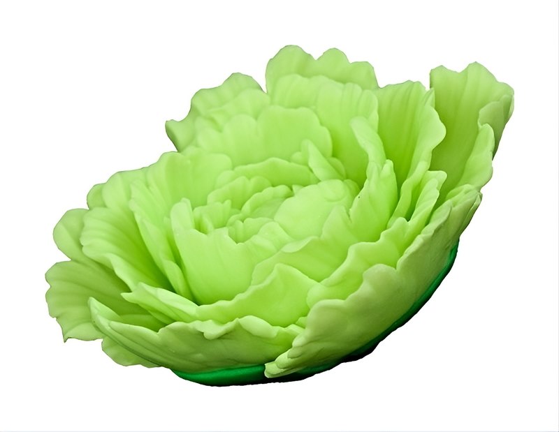 Peony 05 Lime 10 cm