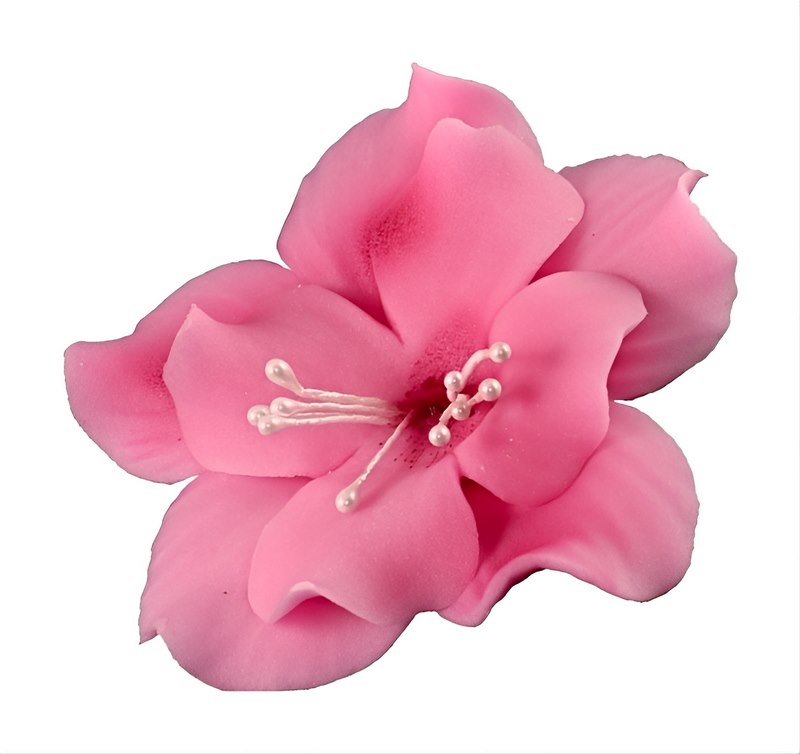 Magnolia 04 Dark Pink 9.5 cm 8 pc