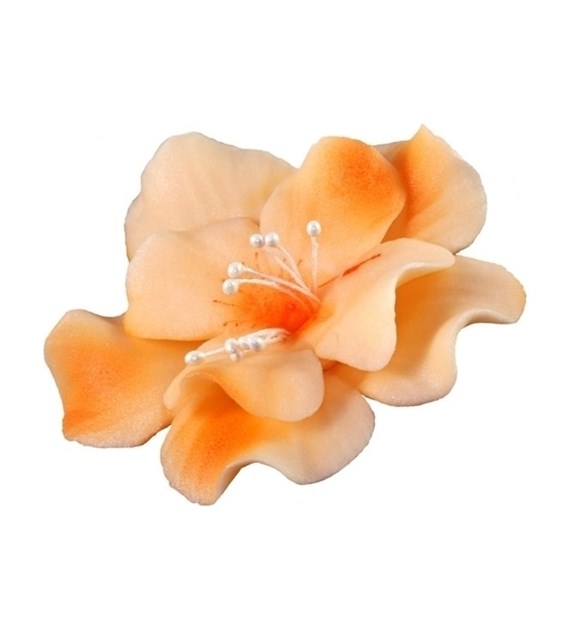 Magnolia 04 Orange 9.5 cm (8)