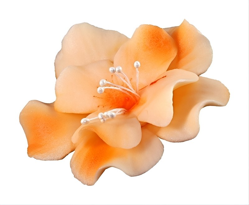 Magnolia 04 Orange 9.5 cm 8 pc